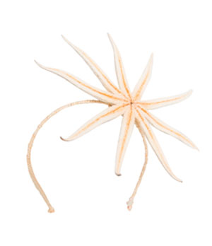 tiara estilo estrela