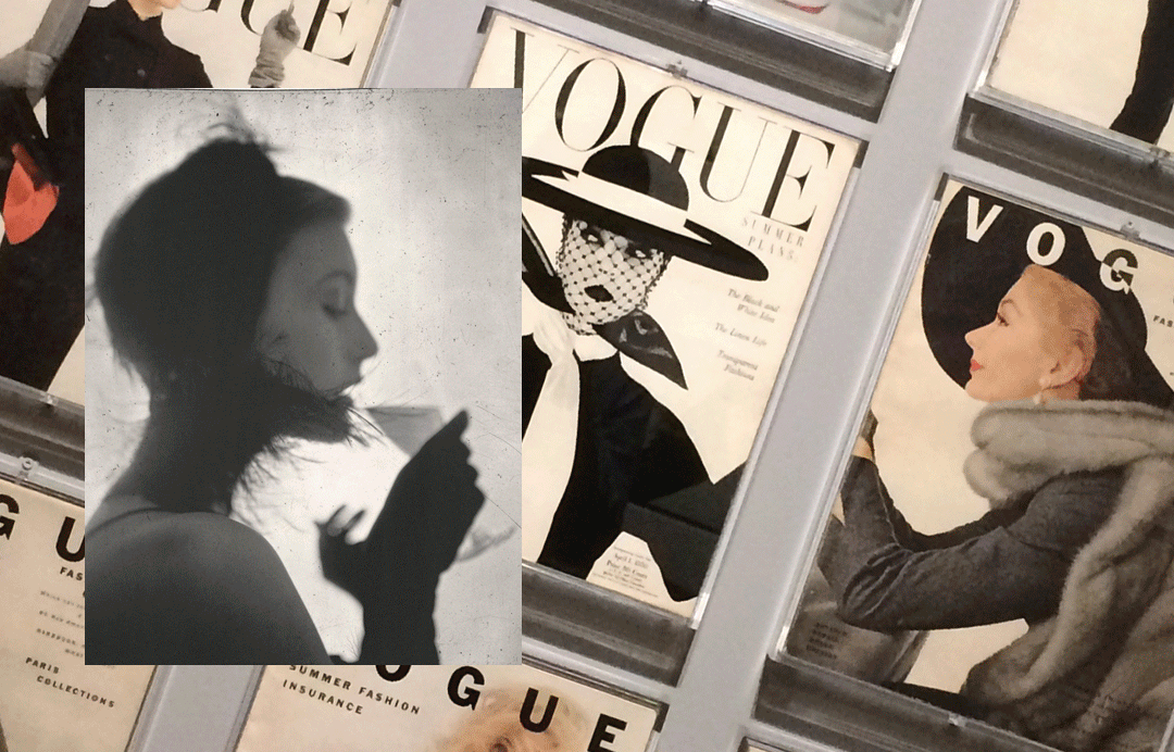 Exposição Irving Penn em São Paulo
